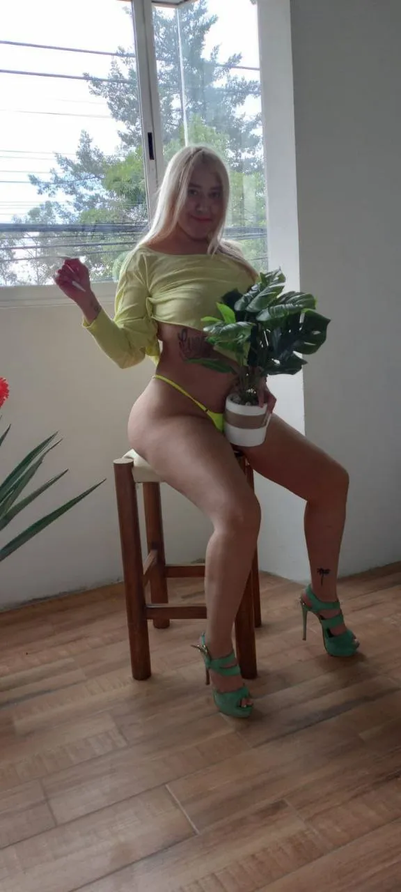 Avaliação de acompanhante de 4 estrelas