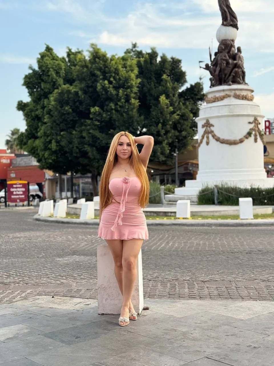 Avaliação de acompanhante de 5 estrelas