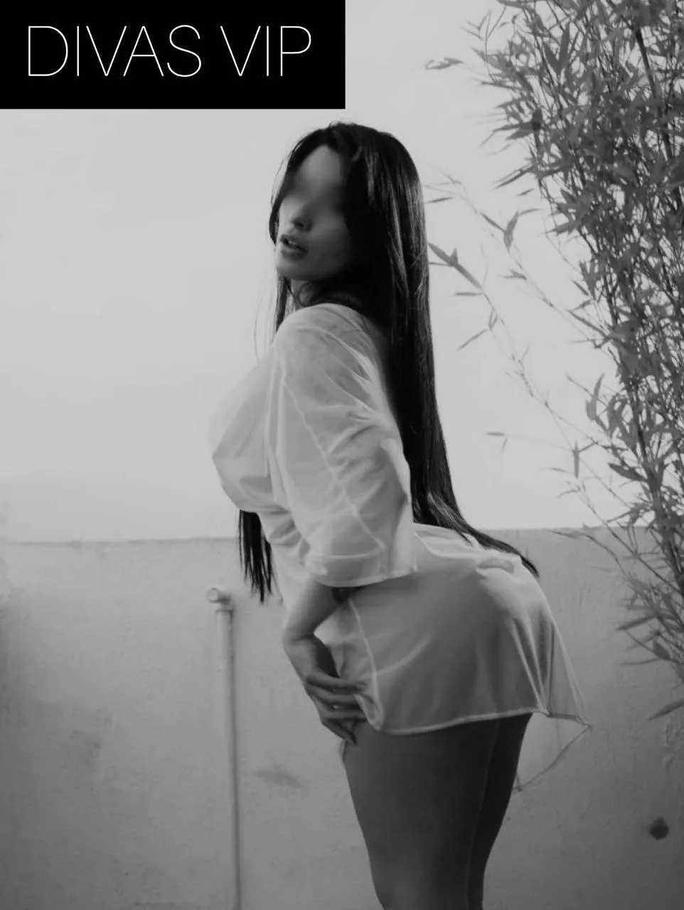 Sofy López 🔥 4⭐