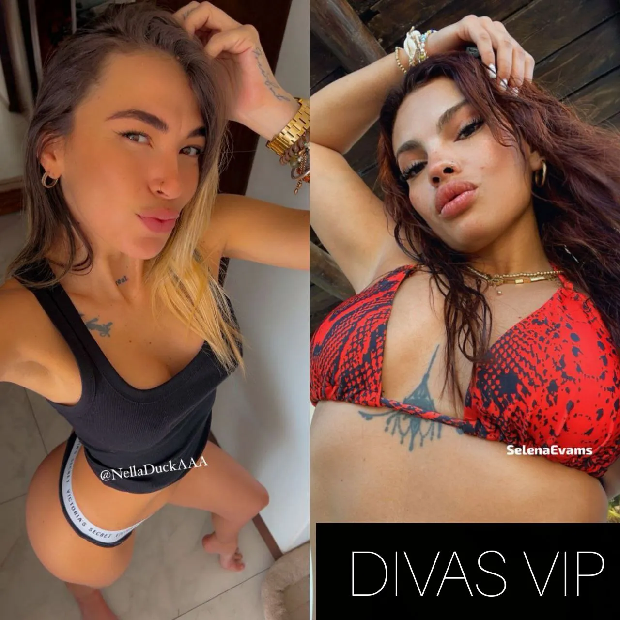 Selena Evams y Nella Duck 💎 5⭐