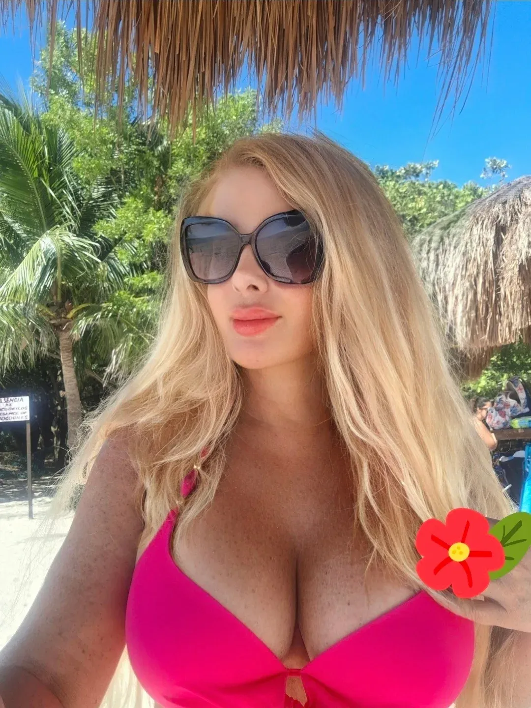 Review of Ludwika Krakowska